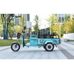 Chowwei Brand Electric Battery Three-Wheeler: Home Use, Compact Vehicle for Child Transport, Stall Business, Passenger Transport, Elderly Use, Agricultural Vehicle