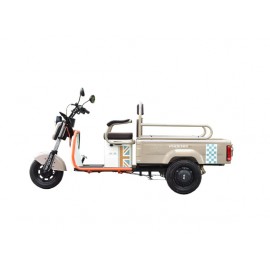 Phoenix small electric tricycle for both passenger and cargo use, home transportation for children, elderly transportation, electric scooter manufacturer direct sales