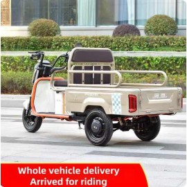 Phoenix small electric tricycle for both passenger and cargo use, home transportation for children, elderly transportation, electric scooter manufacturer direct sales