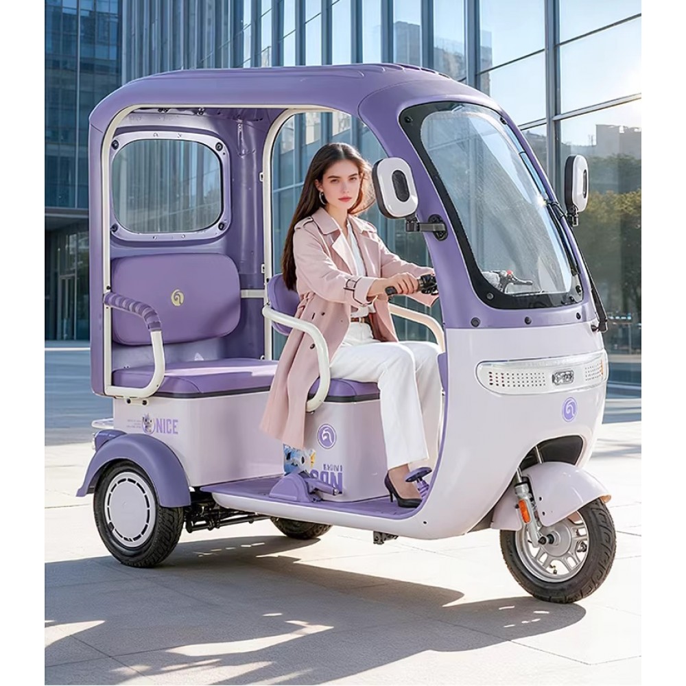 Electric tricycle with rain shelter, enclosed shed, women's household, small elderly people, commuting, picking up and dropping off children, electric scooter